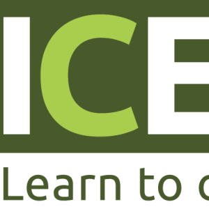 Conférence ICEA - A l'ère du journalisme 4.0, une liberté de la presse en question !